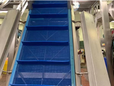 food conveyoring.png